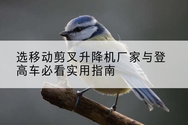 海宁电动升降机厂家-选移动剪叉升降机厂家与登高车必看实用指南