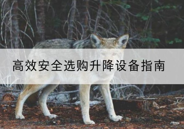 海宁升降货梯厂家推荐-*安全选购升降设备指南