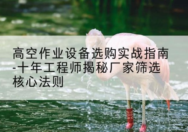 海宁剪叉式升降机厂家-高空作业设备选购实战指南-十年工程师揭秘厂家筛选核心法则